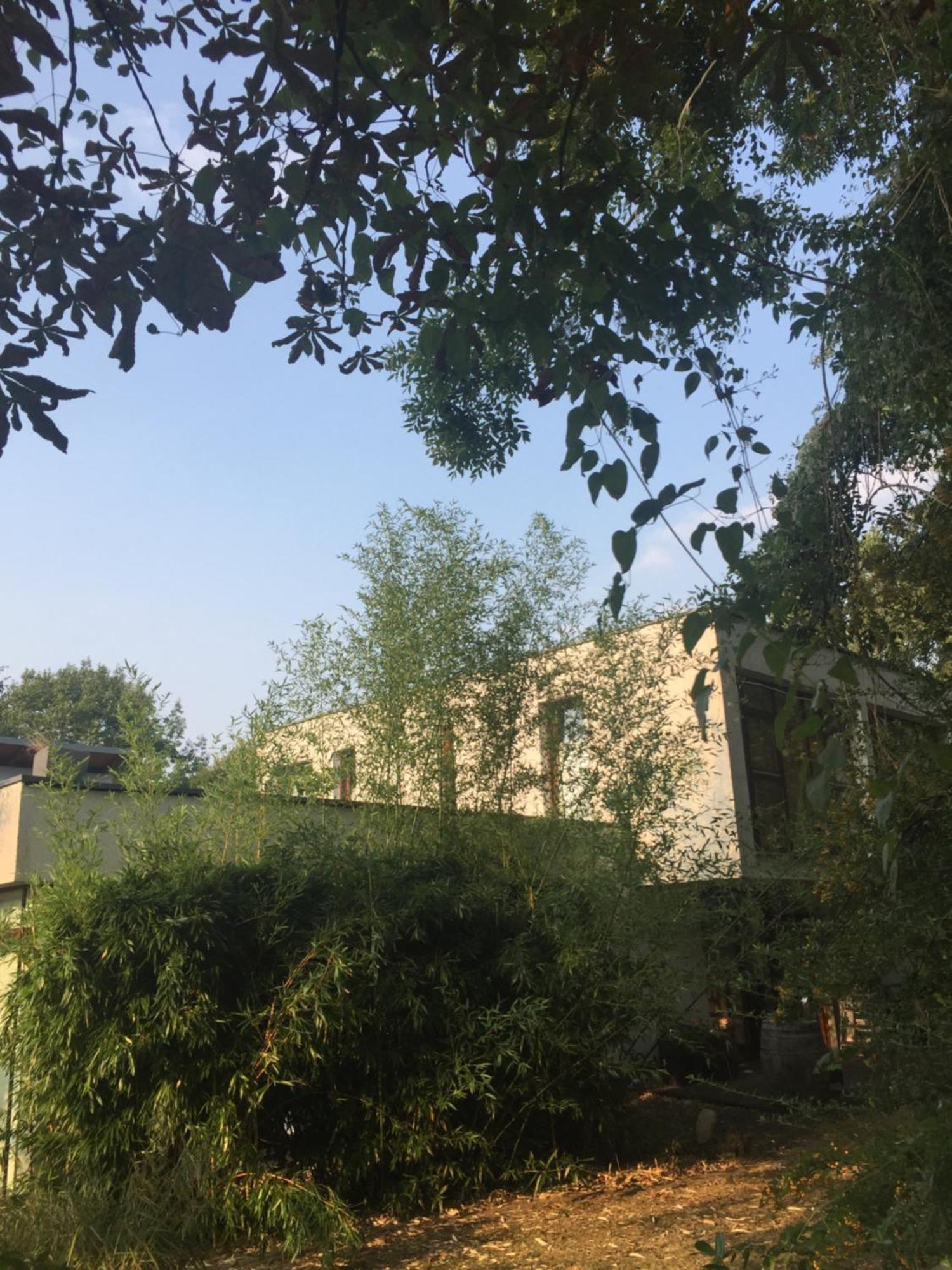 Suite Am Stift ! 분스토트 외부 사진