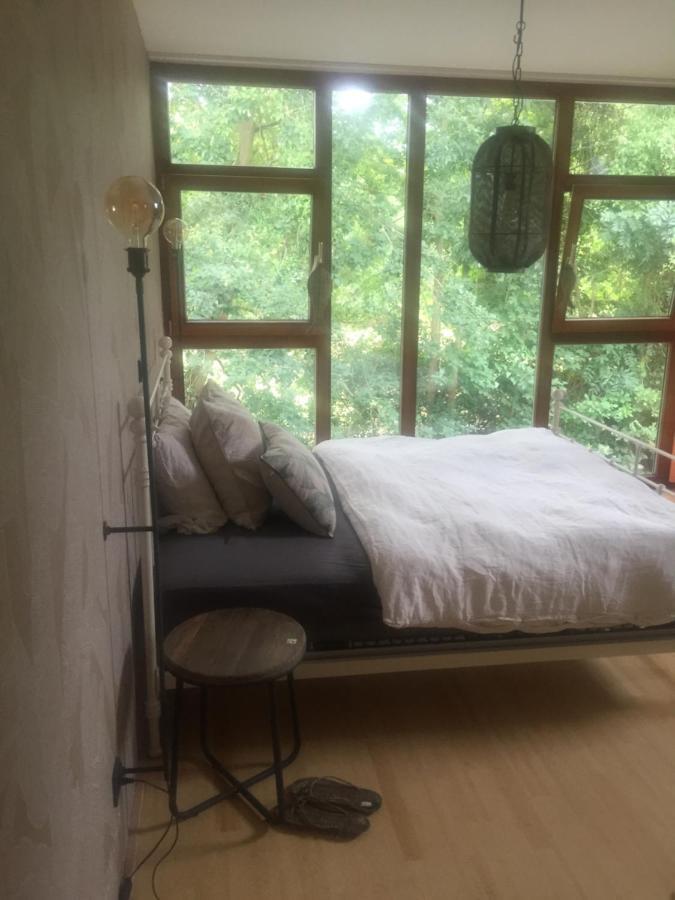 Suite Am Stift ! 분스토트 외부 사진